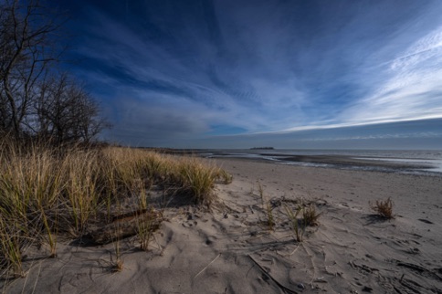 Landscape 308