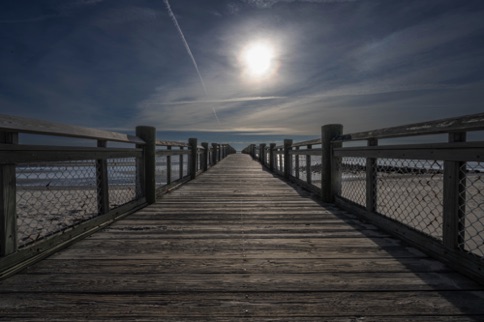 Landscape 309
